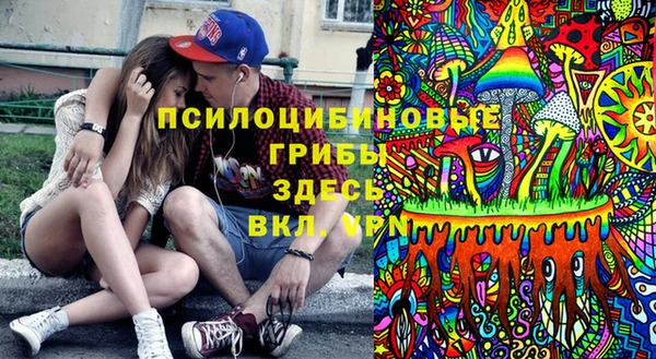 кокс Осташков