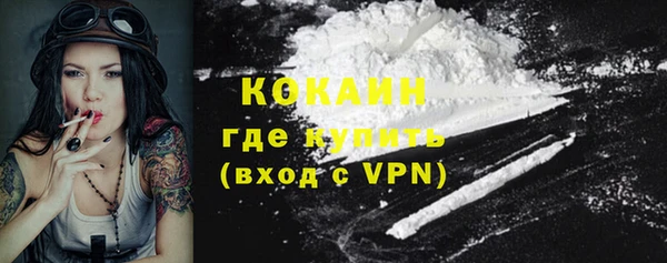 винт Осинники