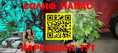 PSILOCYBIN Донской