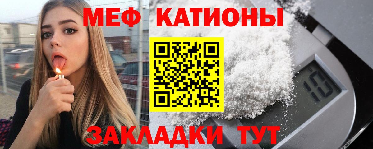 МЕФ  Светлоград