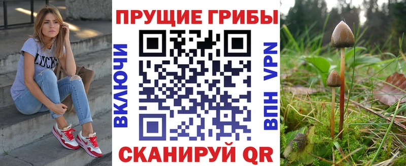 Псилоцибиновые грибы Psilocybine cubensis  купить наркотик  Светлоград 