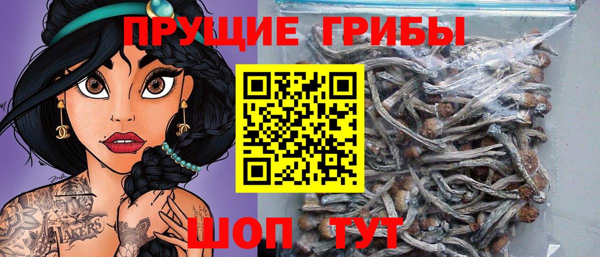 Галлюциногенные грибы мухоморы  Вход с VPN  Светлоград 